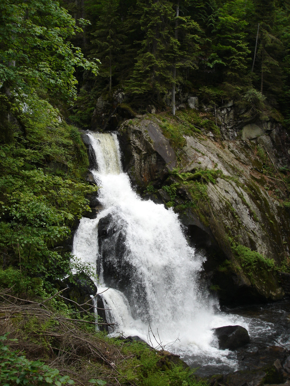 Triberg - Waterfalls
