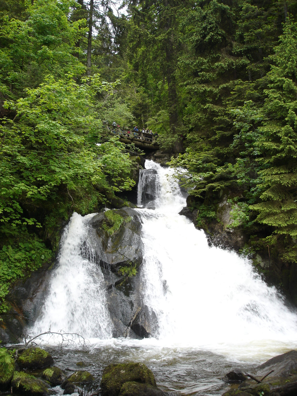 Triberg - Waterfalls