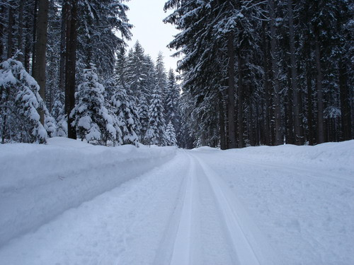 Ski Track