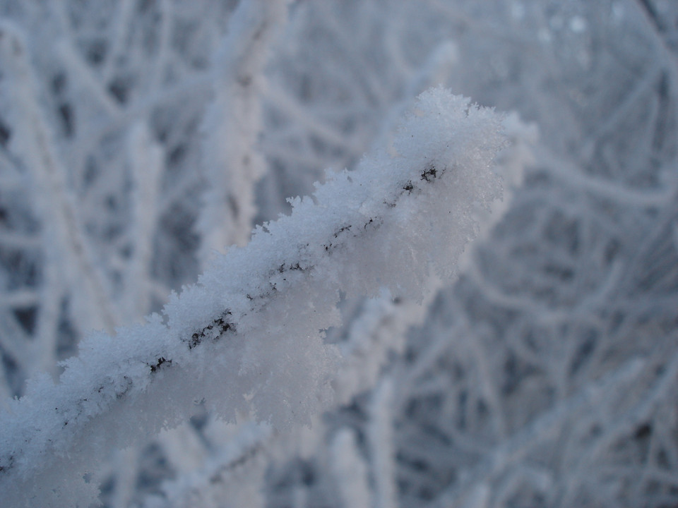Vologda - Winter, Macro